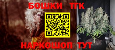 МДПВ Пугачёв