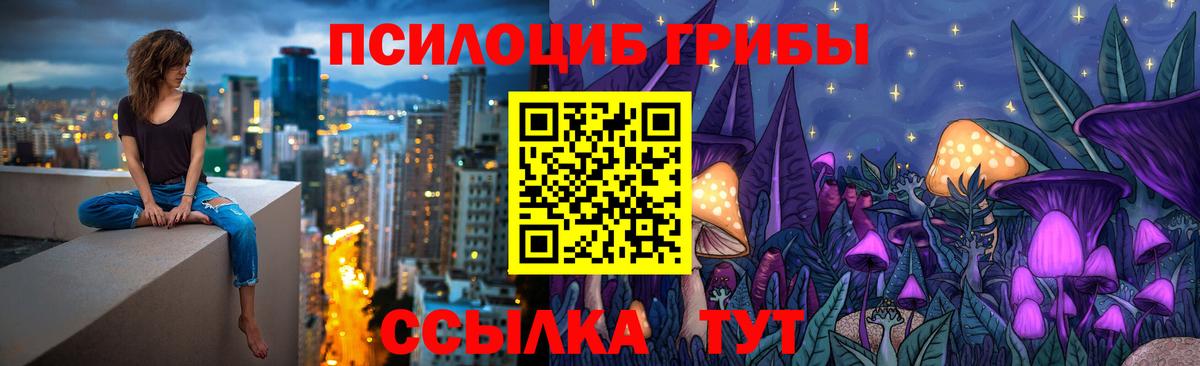 Галлюциногенные грибы Psilocybine cubensis Сегежа