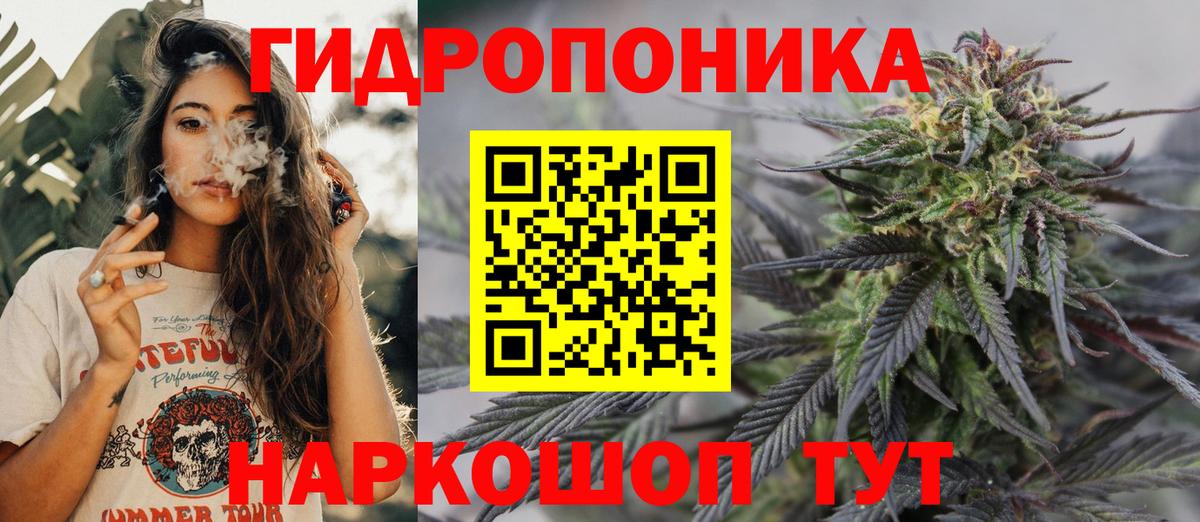 Шишки марихуана марихуана Сегежа